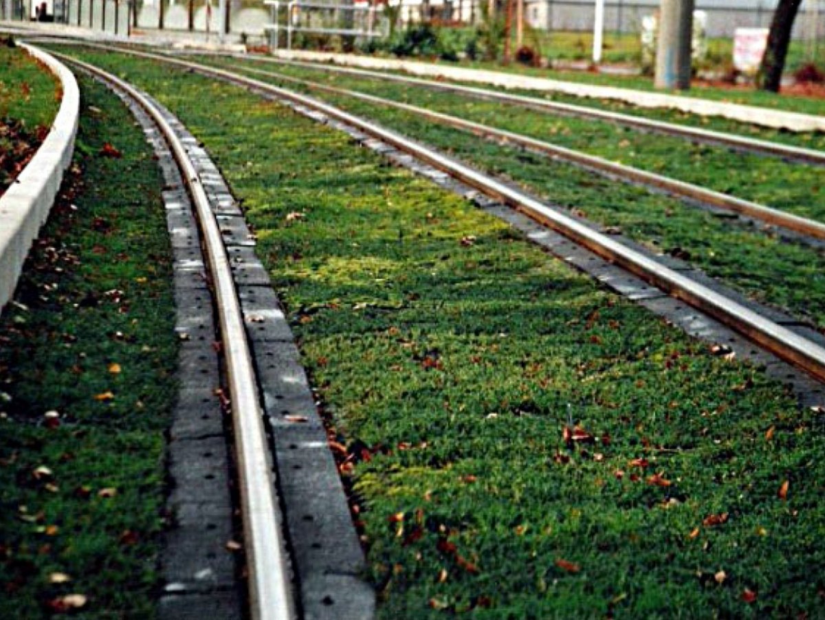 Linii verzi în Arad