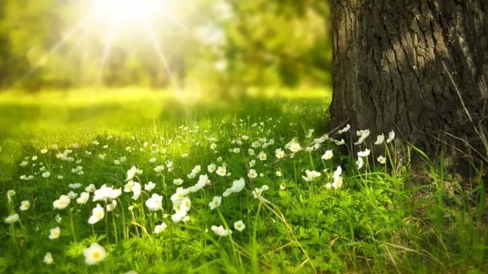 Prognoza meteo pe o lună - schimbări spectaculoase ale vremii