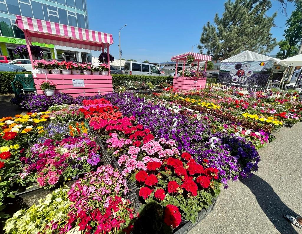 Expoziţia de produse locale organizată de CJA şi-a deschis porţile (FOTO)