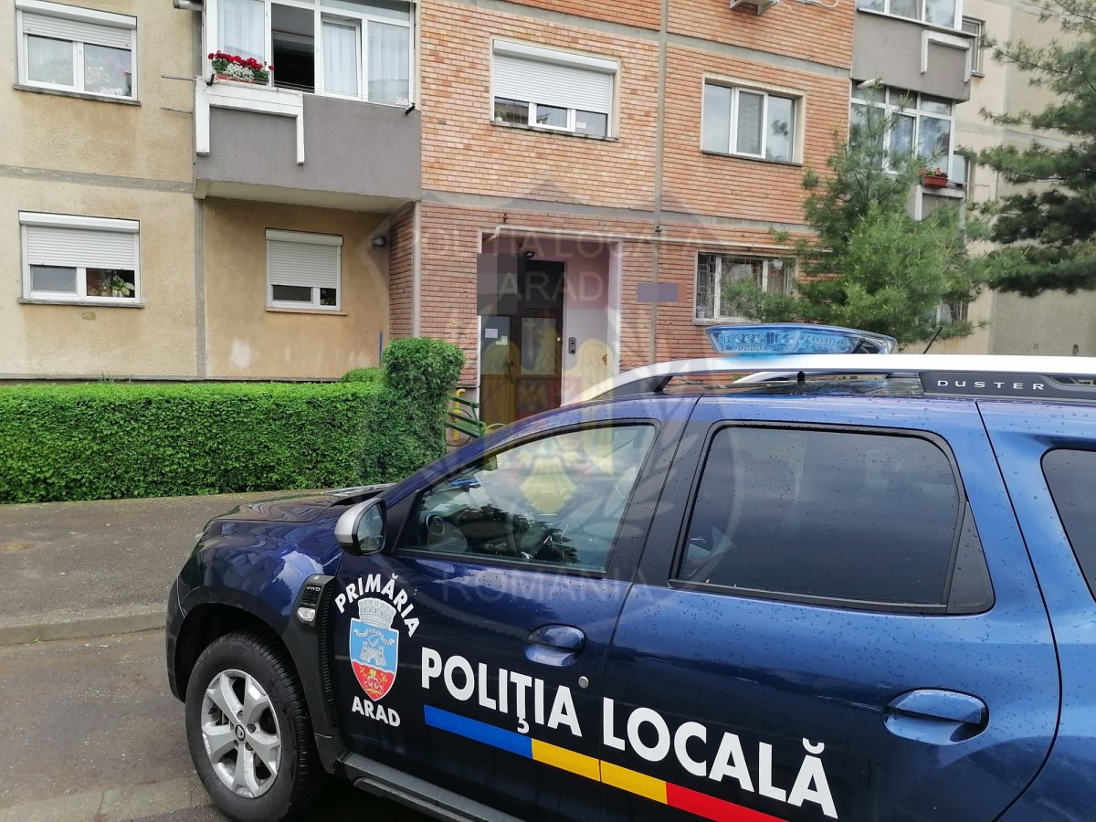 Asociaţiile de proprietari din Micălaca, Alfa, Centru şi Vlaicu notificate cu privire la obligativitatea deratizării și dezinsecției pivnițelor, podurilor și curților