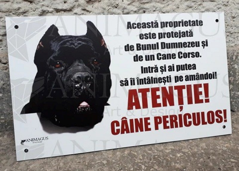 Poliția Locală i-a luat la ochi pe proprietarii de câini periculoși sau agresivi