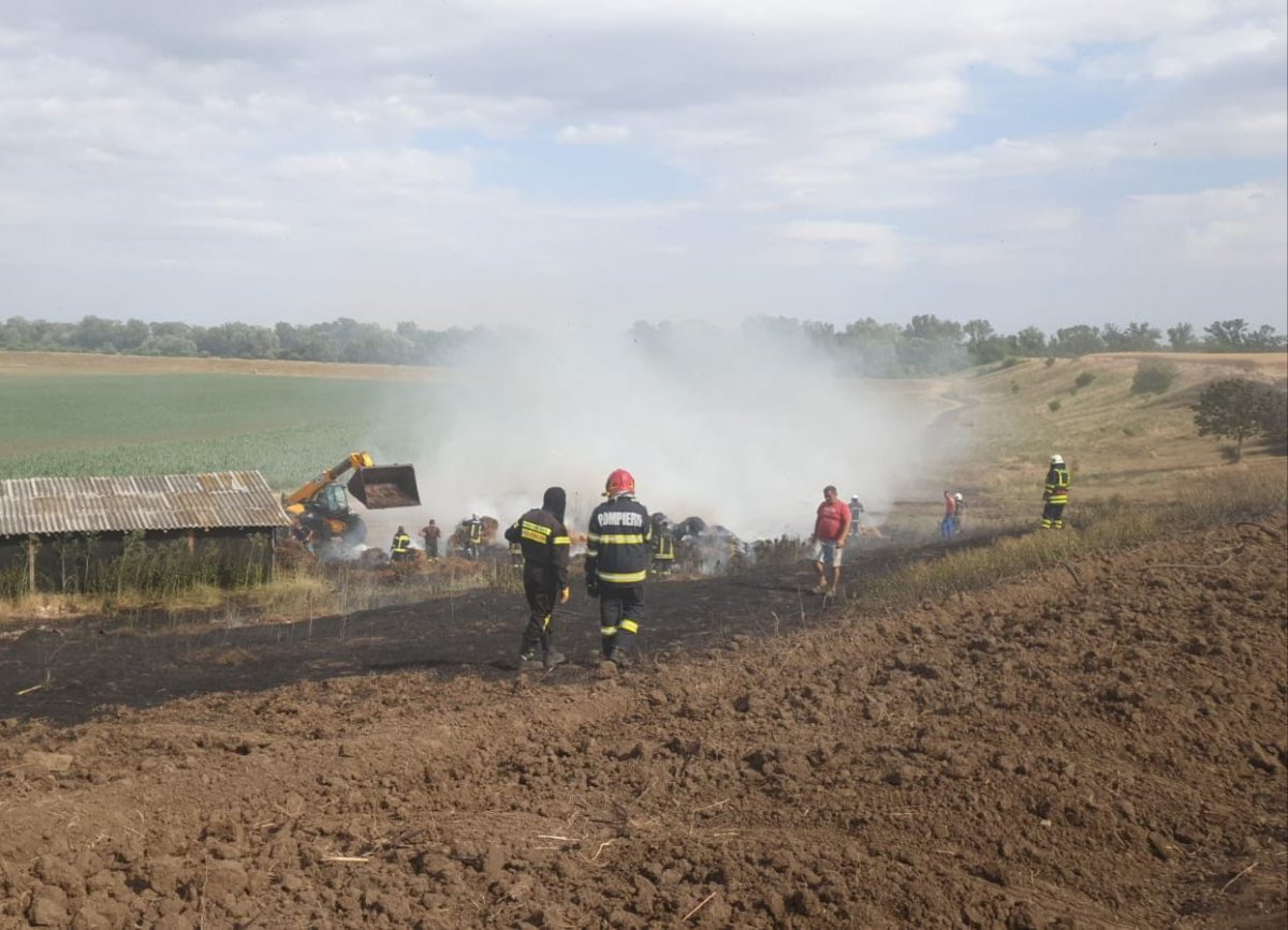 Incendiu la un lan de grâu de aproximativ 15 ha la Semlac