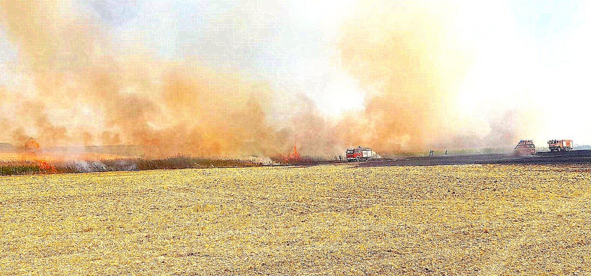 Incendiu la un lan de grâu lângă Aluniș (FOTO !!!) Focul s-a întins până la granița cu Județul Timiș