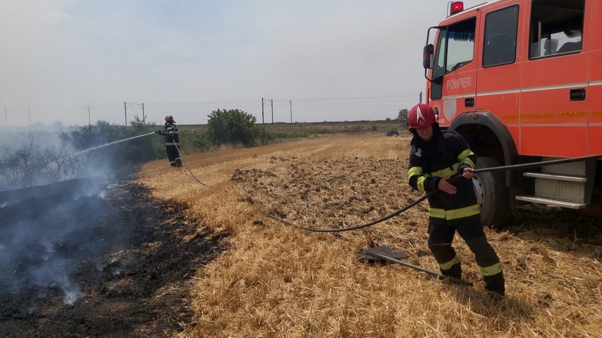 Incendiu la un lan de grâu între localitățile Horia și Vladimirescu