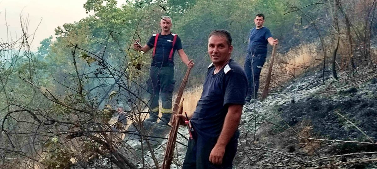 Pompierii din Sebiș și Ineu în acțiune