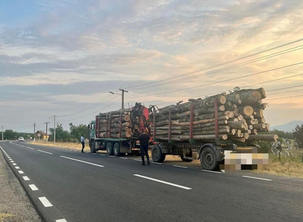 Amplă razie în zona Sebiş. Vezi câte persoane au fost legitimate (FOTO)