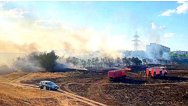 Incendiu de vegetație uscată în Micălaca