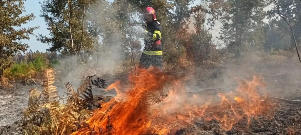 Misiunile modulului național de stins incendii continuă în Franța