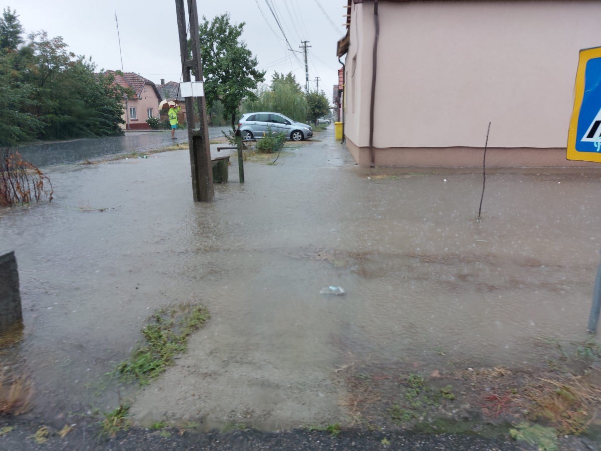 Patru gospodării inundate la Nădlac