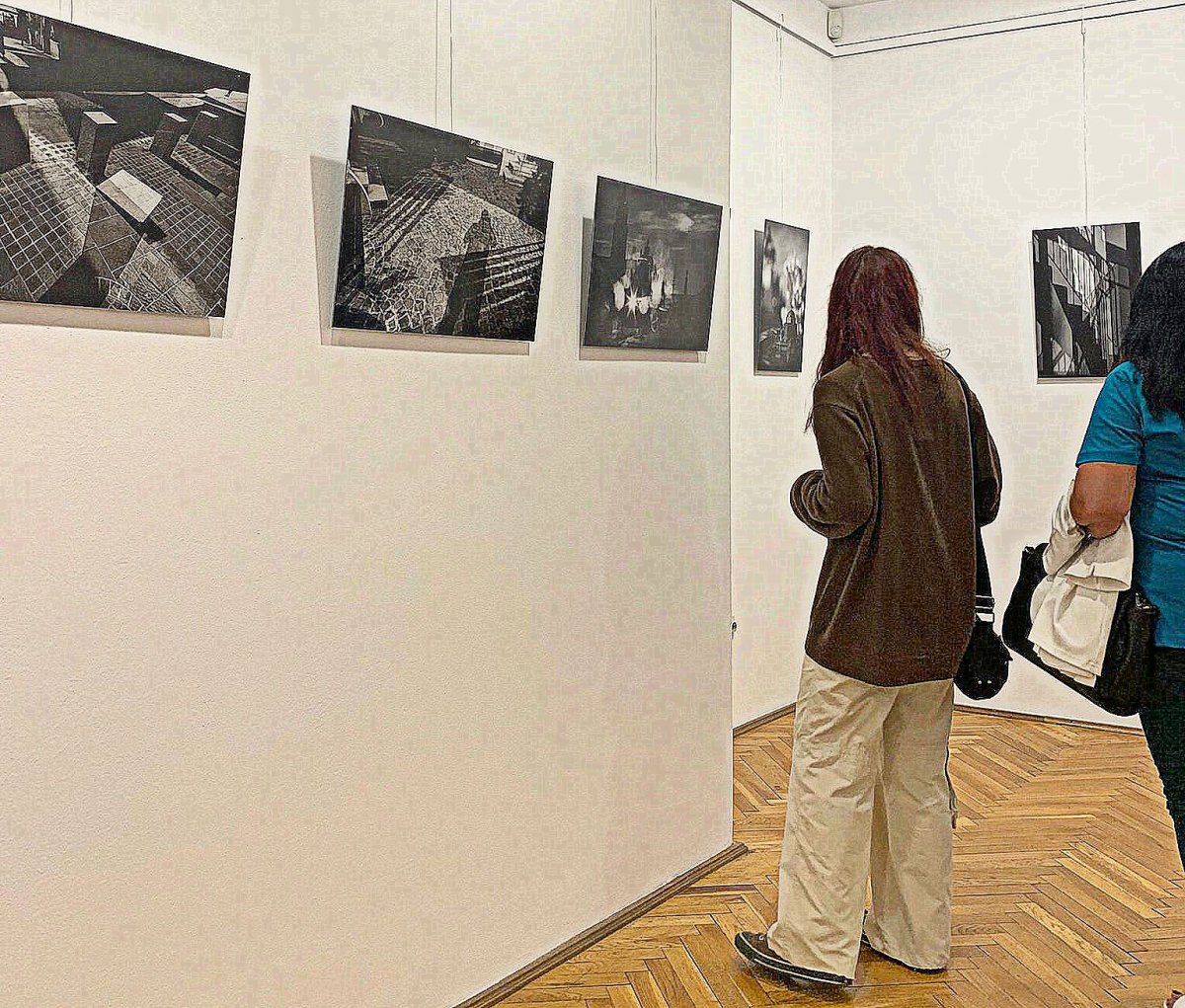        Expoziții artistice la Sălile CLIO și FERDINAND de Zilele Aradului