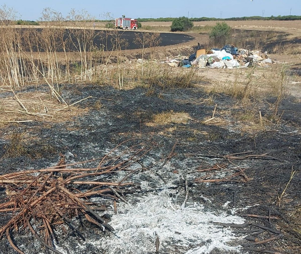 Incendiu miriște și vegetație uscată în localitatea Adea
