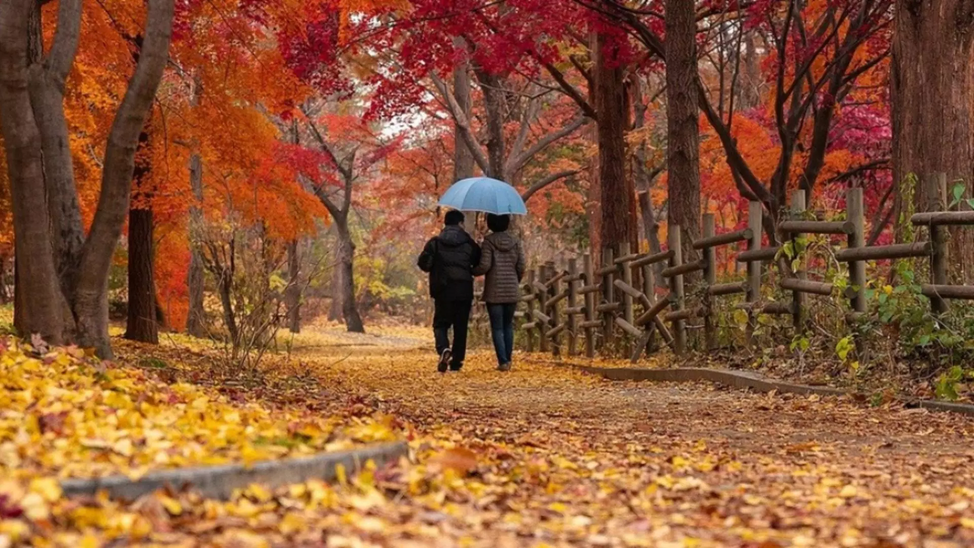 Prognoza meteo pe două săptămâni - zonele lovite de ploi. Când se încălzește - temperaturi de 28 de grade