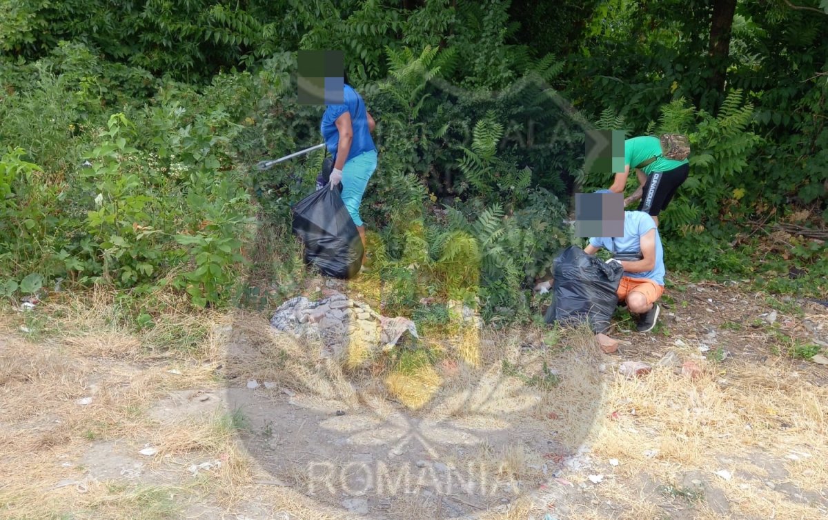  Pe unde au mai fost puşi la lucru indivizii condamnaţi la muncă în folosul comunităţii