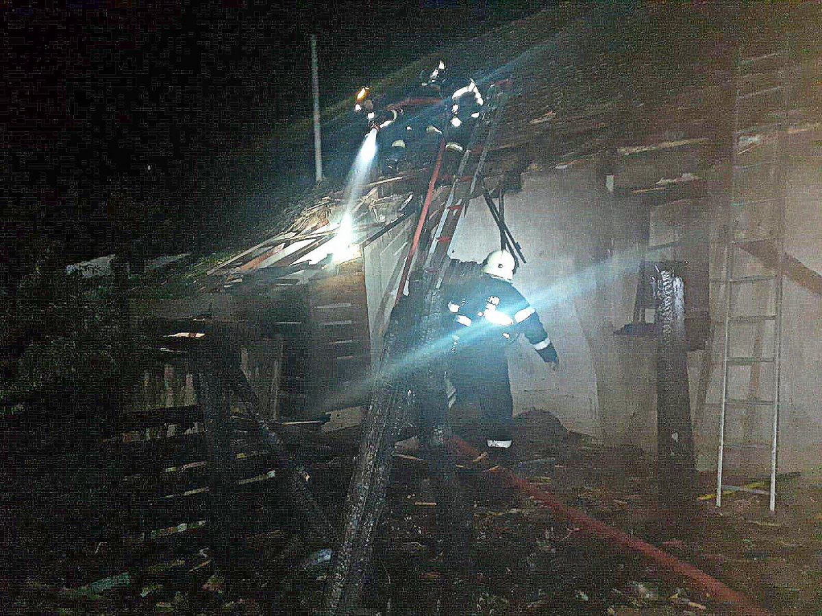 Incendiu la anexa unei gospodării în orașul Pecica
