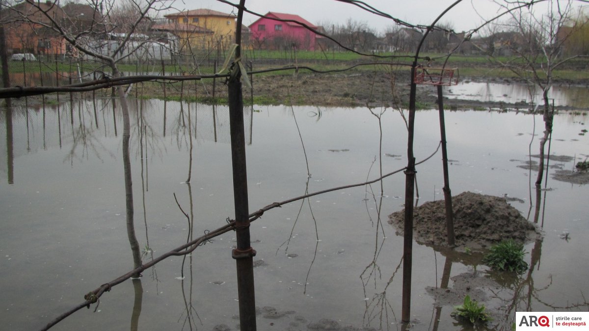 DEZASTRU LA NADĂȘ. Satul a fost inundat după o ploaie torențială / UPDATE: ”Viitura a măturat totul. Ne-au murit înecate animalele”
