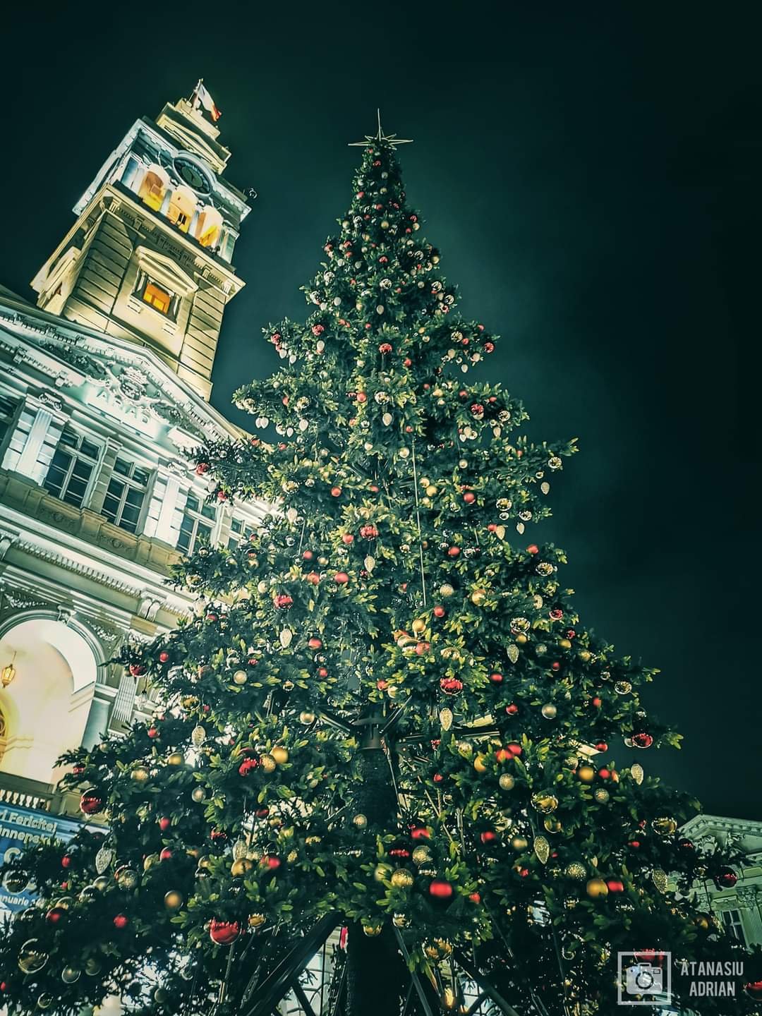Aprinderea luminițelor în bradul de Crăciun, în centrul Aradului