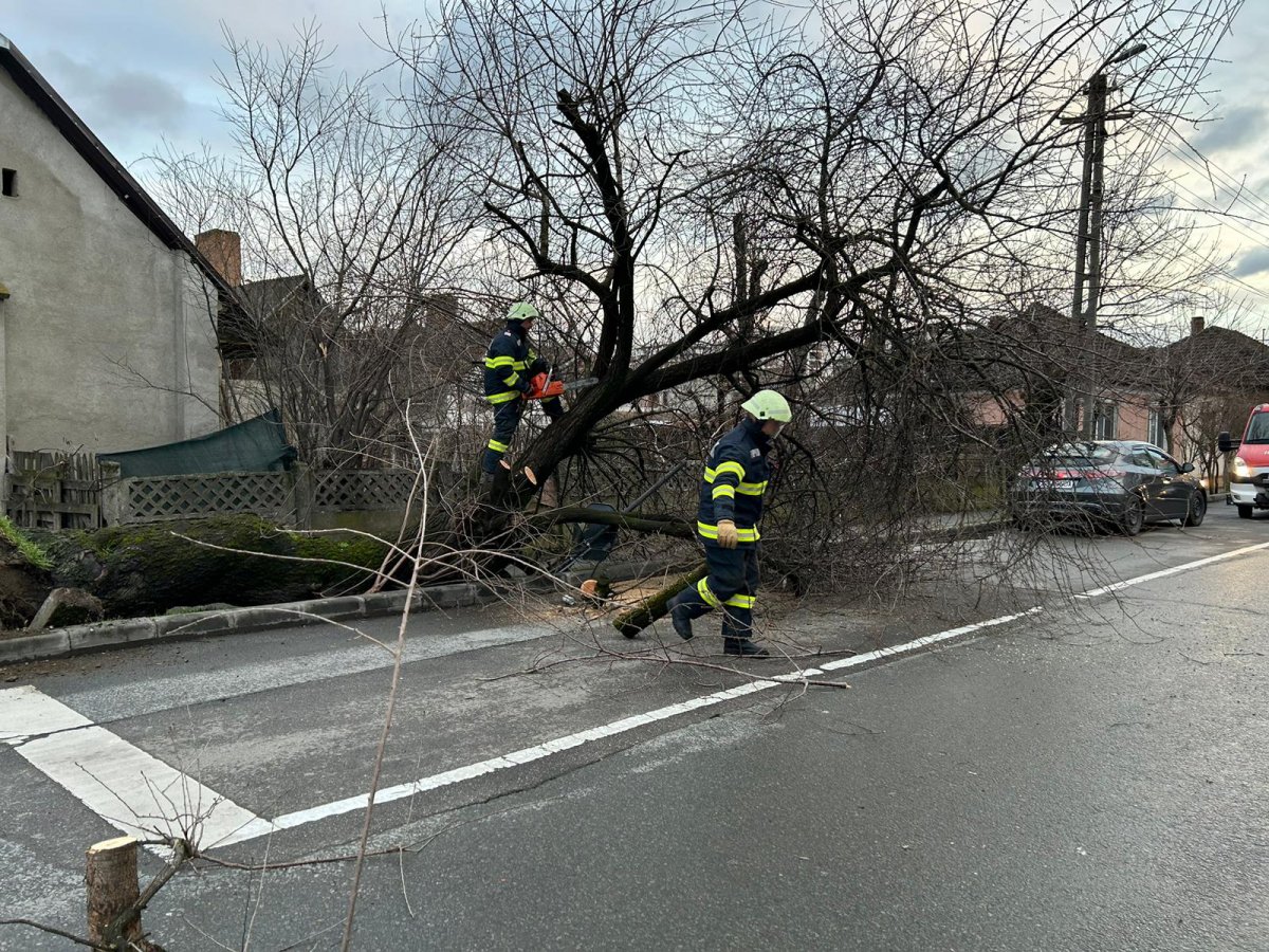 Pompierii arădeni în acțiune