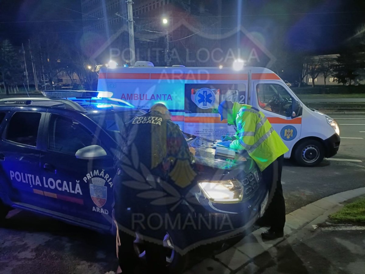 Trei bărbaţi FLĂMÂNZI rău de tot, cinci PROSTITUATE care se certau pentru teritoriu şi prietenul uneia dintre ele au fost amendaţi de Poliţia Locală pentru că au făcut scandal (FOTO)