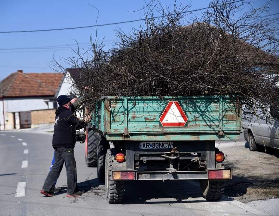 De luni, la Pecica, se ridică crengile