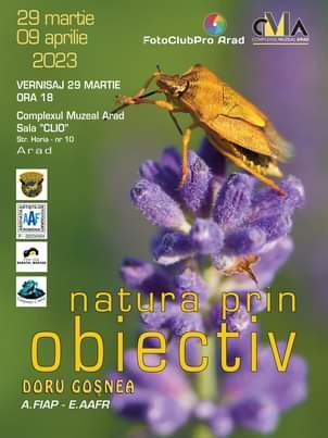 Foto Club Pro Arad vernisează la Sala CLIO expoziţia de fotografie „Natura prin obiectiv