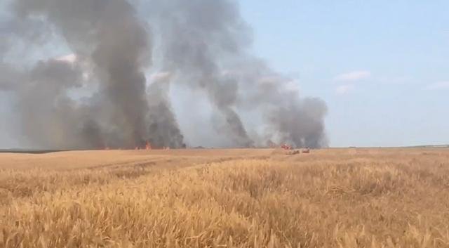 Incendiu la un lan de grâu între localitățile Nădlac și Peregu Mare