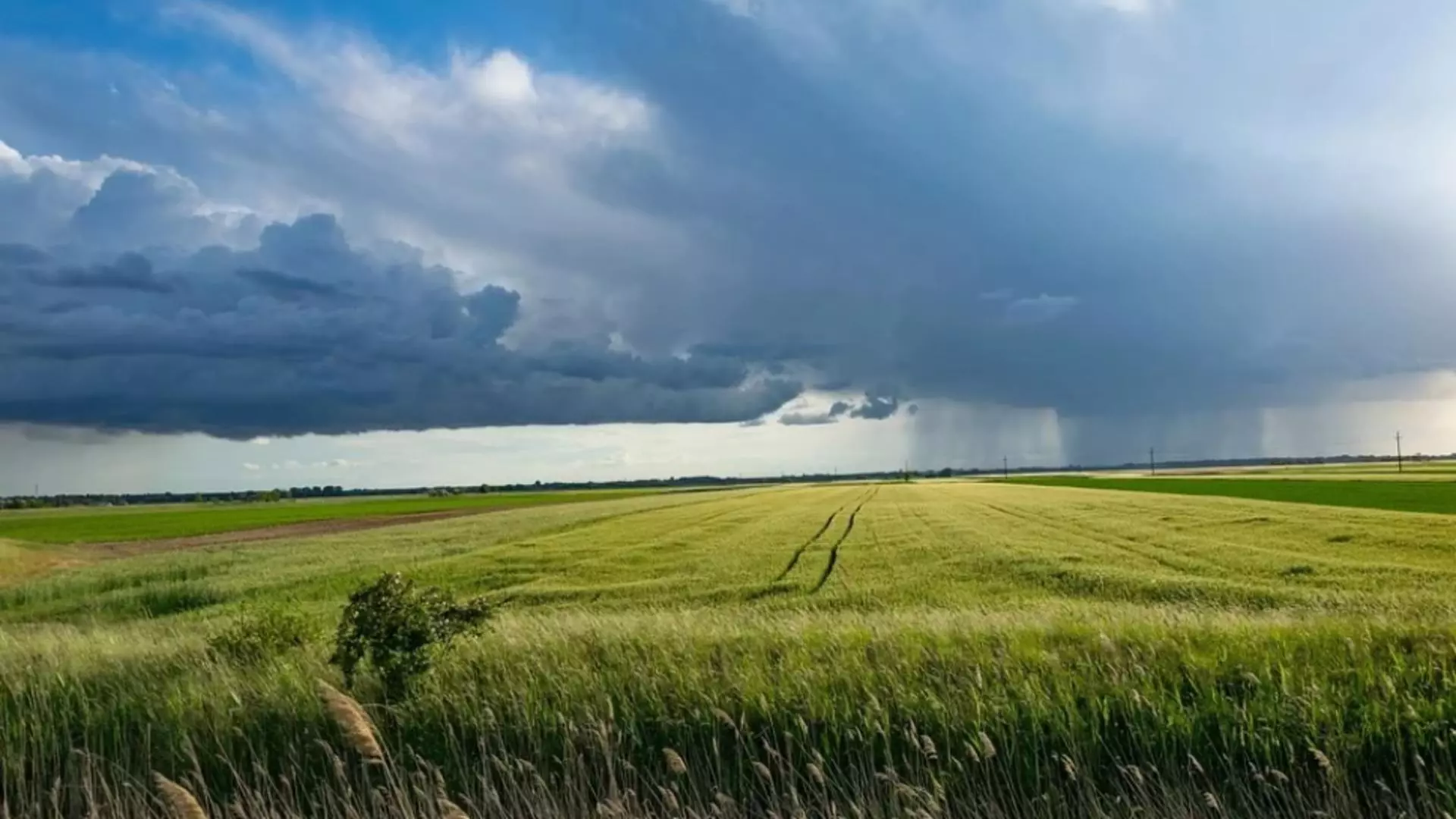 Cod portocaliu de furtuni devastatoare, alertă meteo de caniculă și disconfort termic accentuat în județul Arad