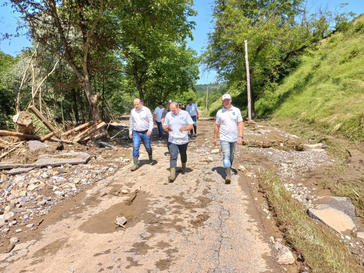 Comitetul Județean pentru Situații de Urgență a tras linie: apa a provocat pagube de zeci de milioane de lei la Brazii şi Gurahonţ
