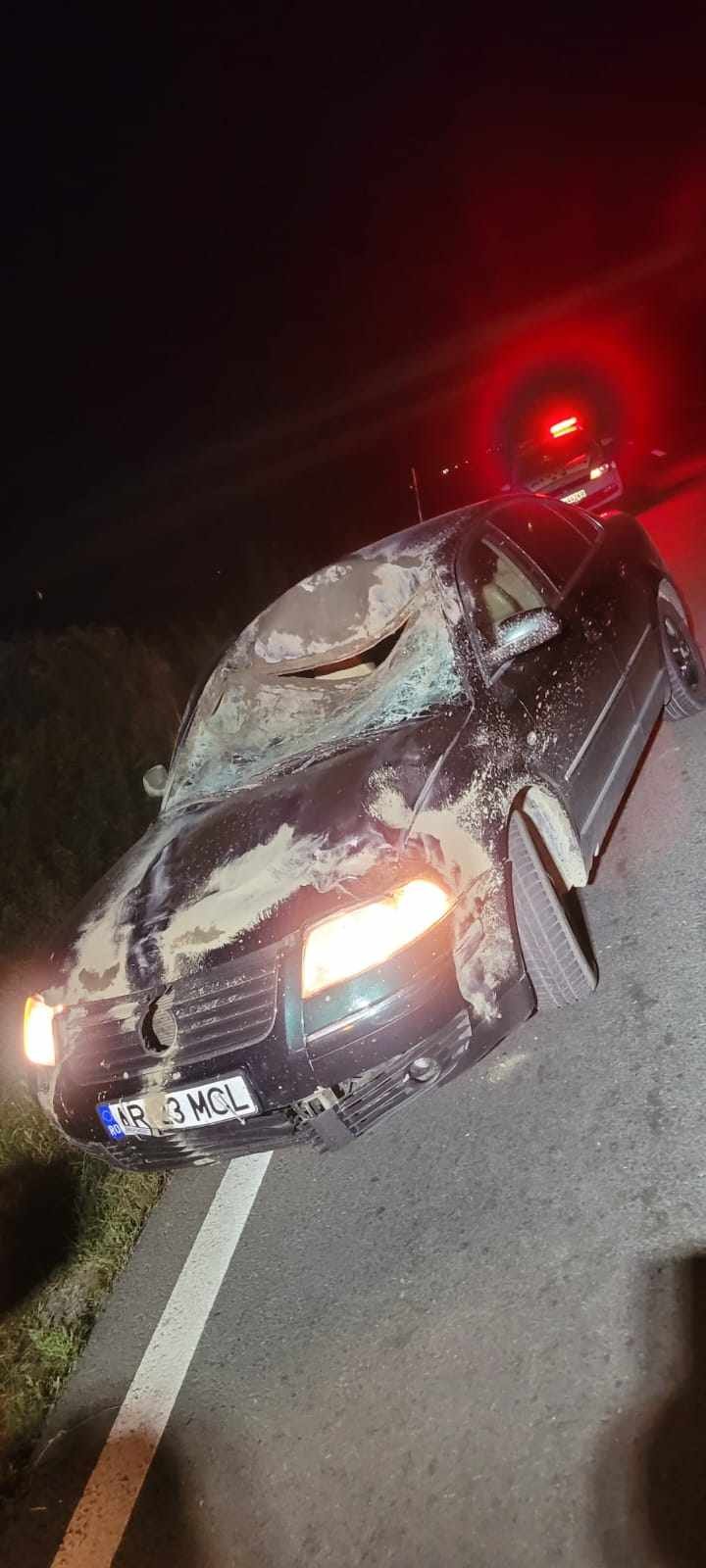 Accident cu o persoană rănită, după ce autoturismul a lovit un cerb