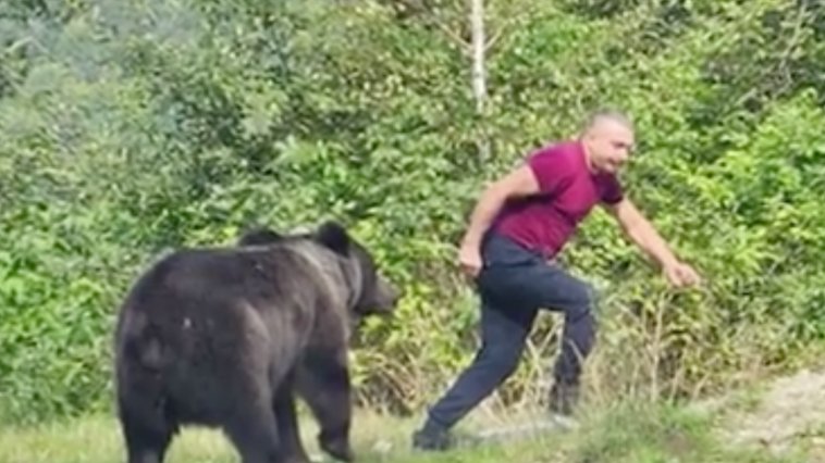 Turişti INCONŞTIENŢI fugăriţi de urs pe Transfăgărăşan