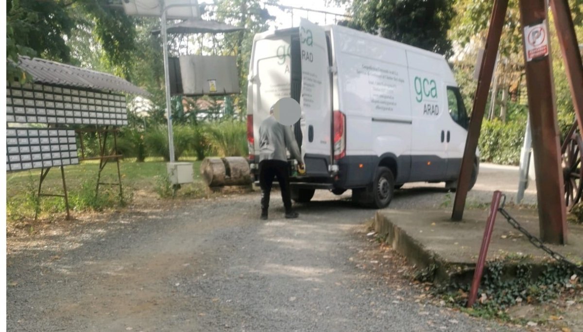 Câţi câini vagabonzi au fost adunaţi în ultima săptămână de pe străzile din Grădişte şi de la Insula Mureş (FOTO)