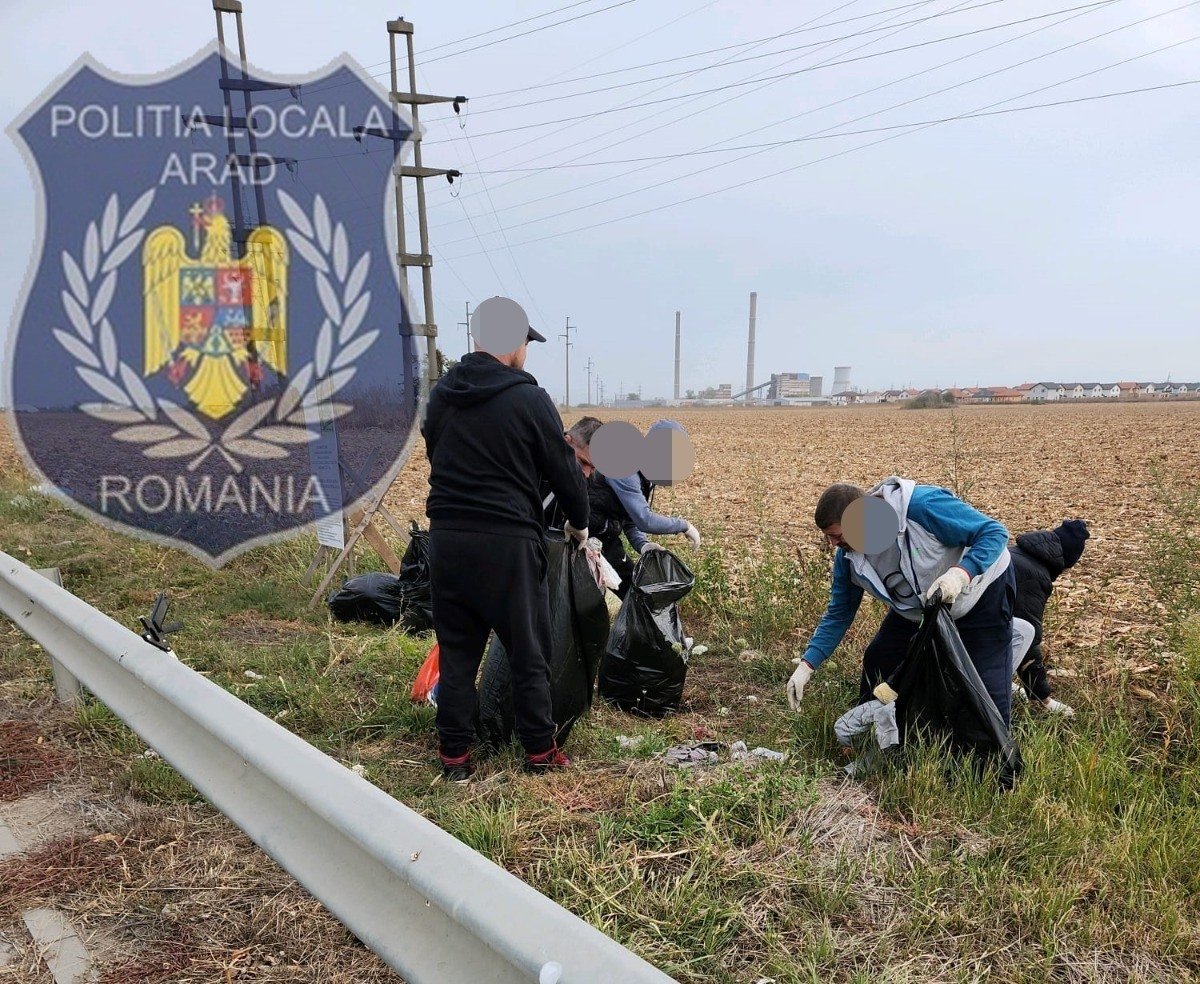 Ce zone din Arad au fost curăţate de persoanele obligate să muncească în folosul comunităţii (FOTO)