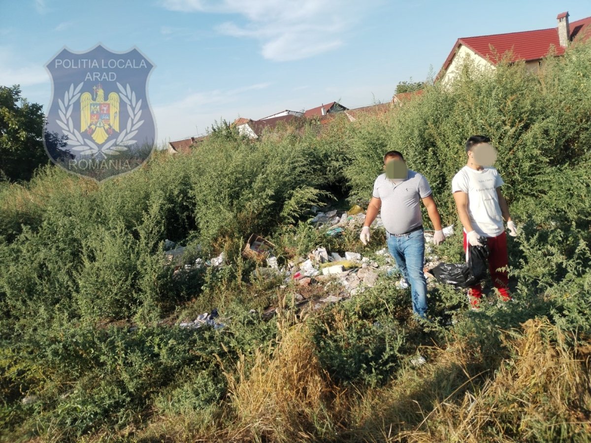 Ce zone din Arad au fost salubrizate de persoanele puse să lucreze în folosul comunităţii (FOTO)