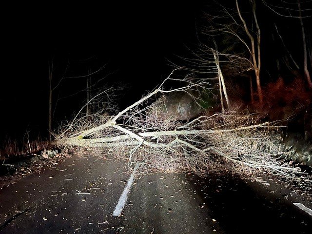 Mai mulți arbori au căzut pe carosabil, pe drumurile din județ