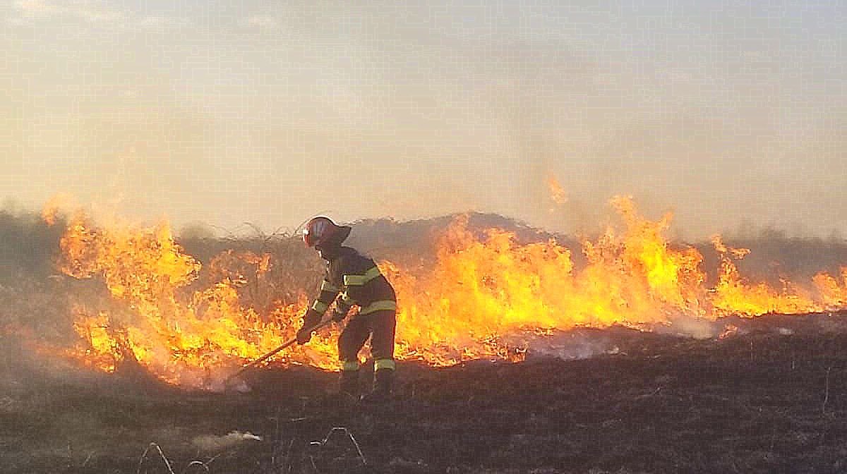 Incendiu produs la vegetație uscată în apropierea drumului din localitatea Luguzău