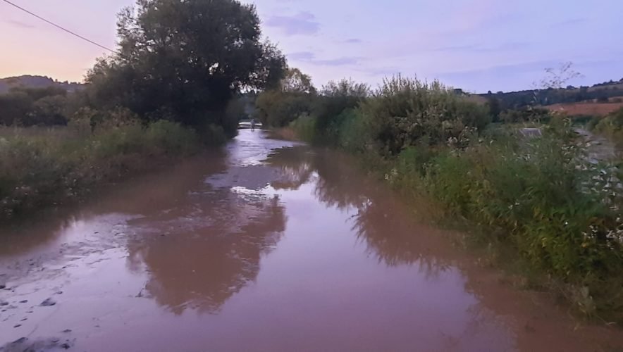 Cod galben de viituri în Arad și alte județe