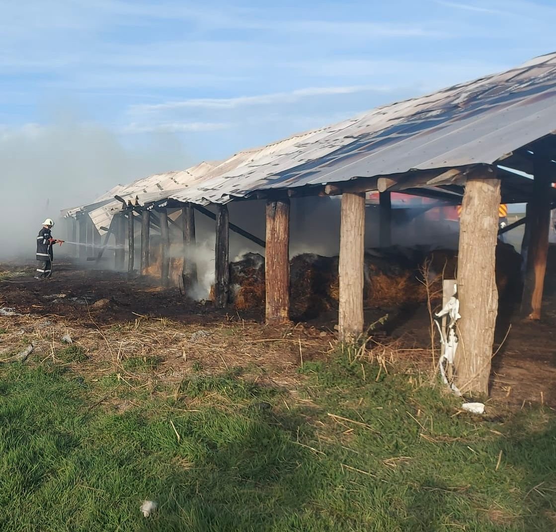 Incendiu la un saivan din comuna Zărand / UPDATE: Incendiul a fost lichidat