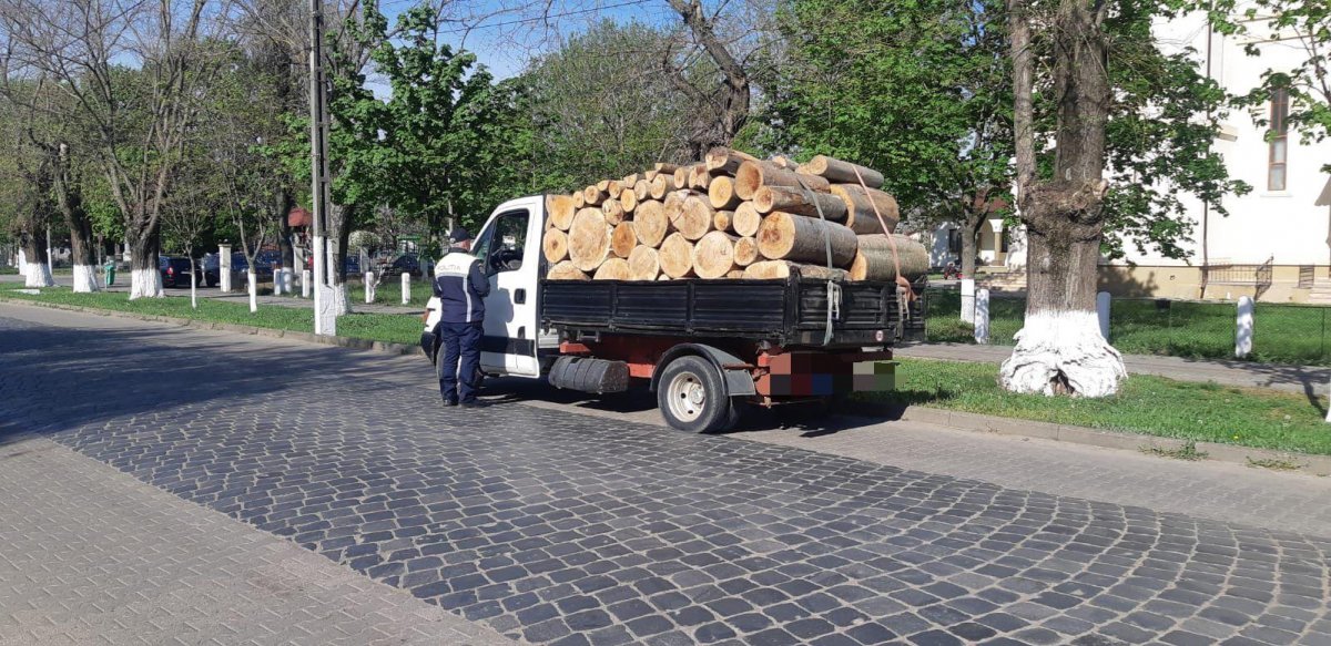 Razie la Sântana și Pâncota (FOTO)