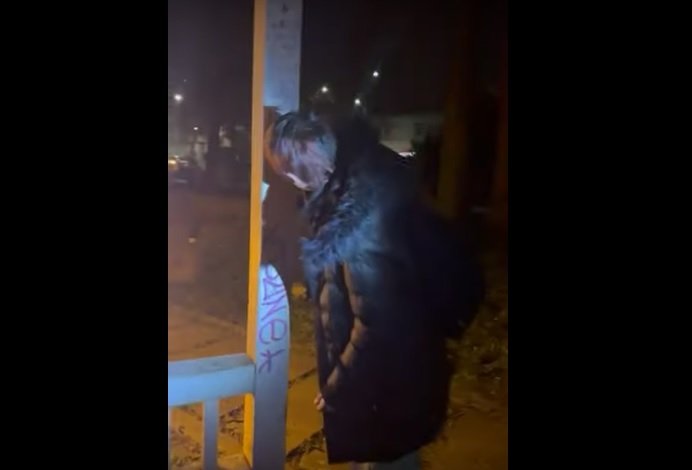 (VIDEO) Act de vandalism sancționat de jandarmi