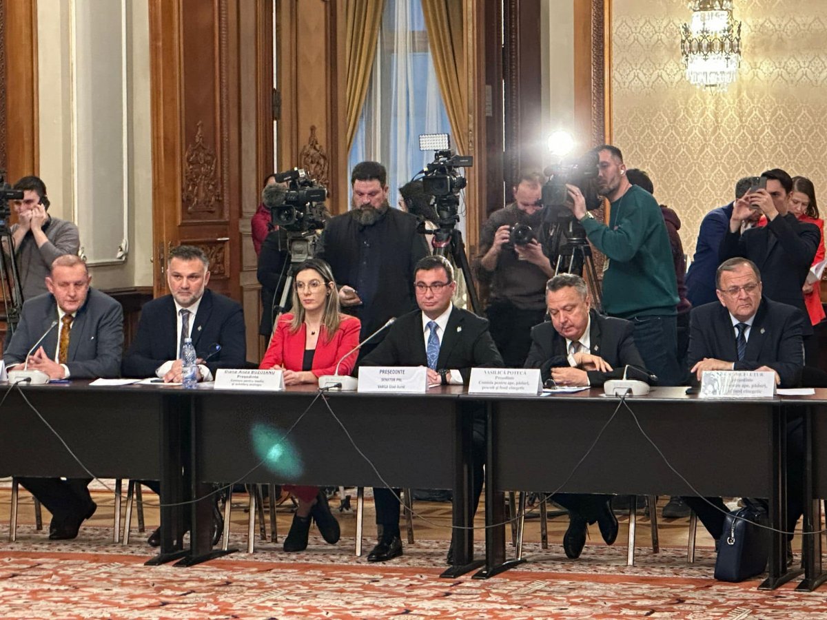 Guvernul României a fost învestit și a depus jurământul; Glad Varga a prezidat ședința comună de audiere a ministrului Mediului (FOTO)