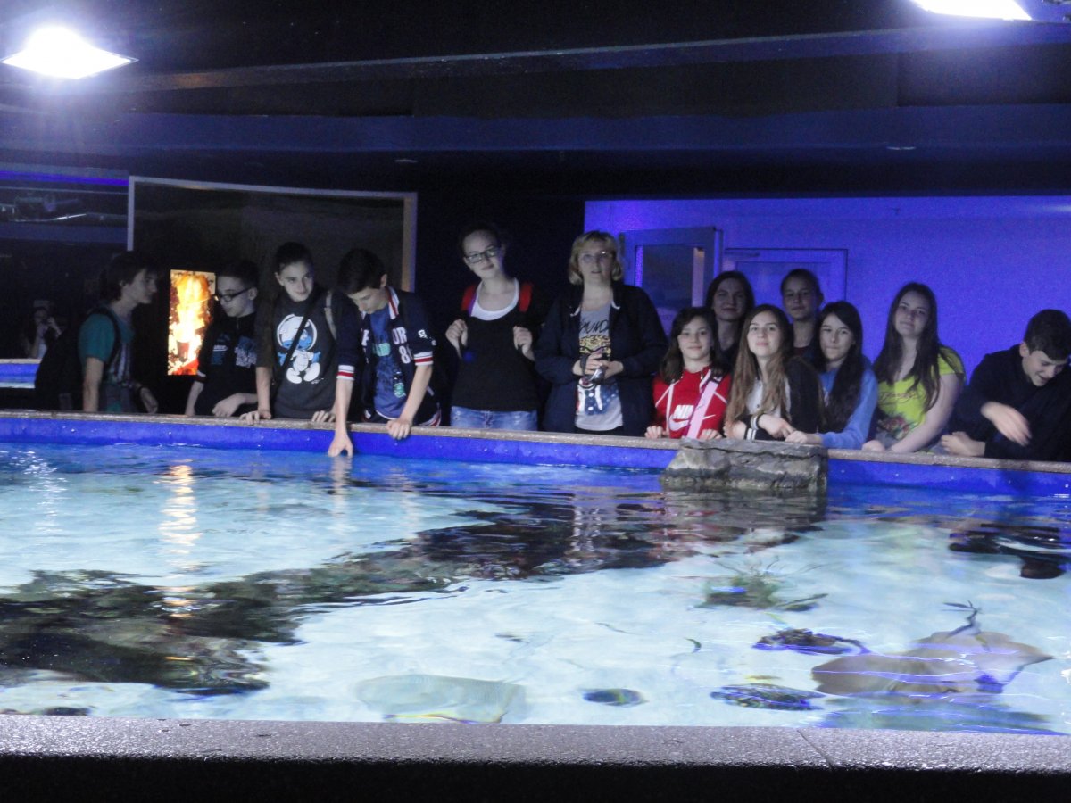 Școala Gimnazială „Aurel Vlaicu” a organizat o excursie la Tropicarium