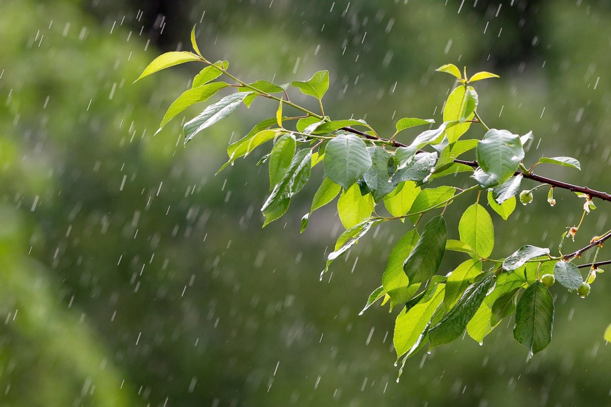 Prognoza meteo pentru azi: vreme mai caldă decât în mod normal, dar cu averse și descărcări electrice în multe regiuni