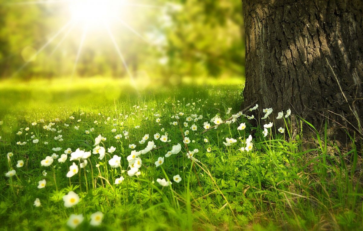 Prognoză meteo: Urmează două săptămâni cu temperaturi peste normalul perioadei