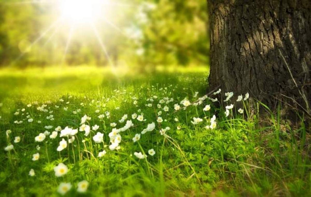 Temperaturi de vară în a doua zi de Paște. Vezi zonele în care termometrele se vor apropia de 30 de grade
