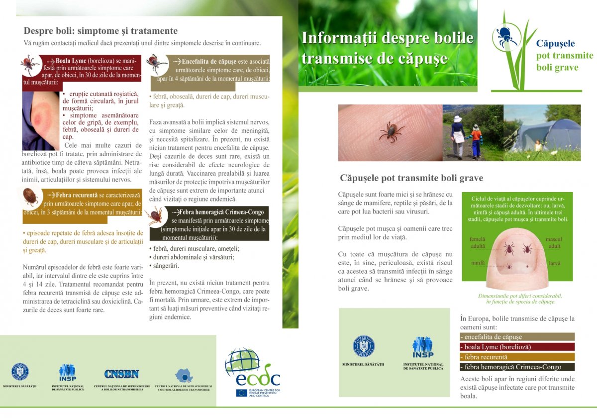 Bolile transmise prin insecte și rozătoare revin odată cu încălzirea vremii / UPDATE: 25 de arădeni au ajuns la Județean din cauza căpușelor