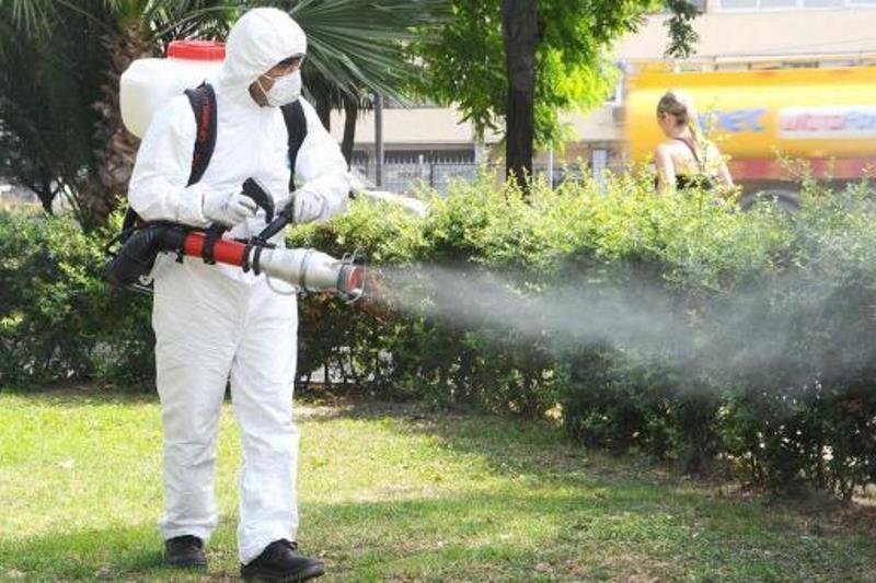 Când au loc noi acțiuni de dezinsecţie în municipiu
