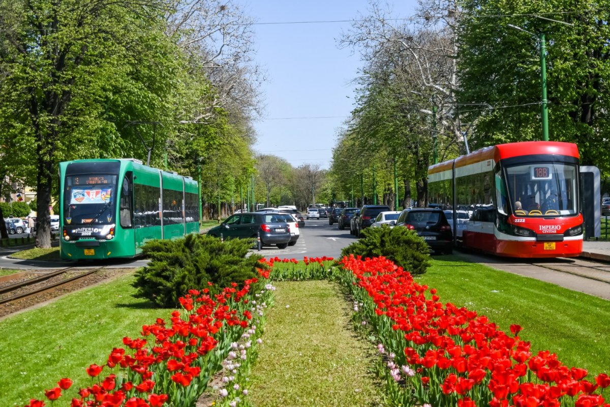 Cupa Aradului la Ciclism oprește circulația tramvaielor între Podgoria și Piața Romană