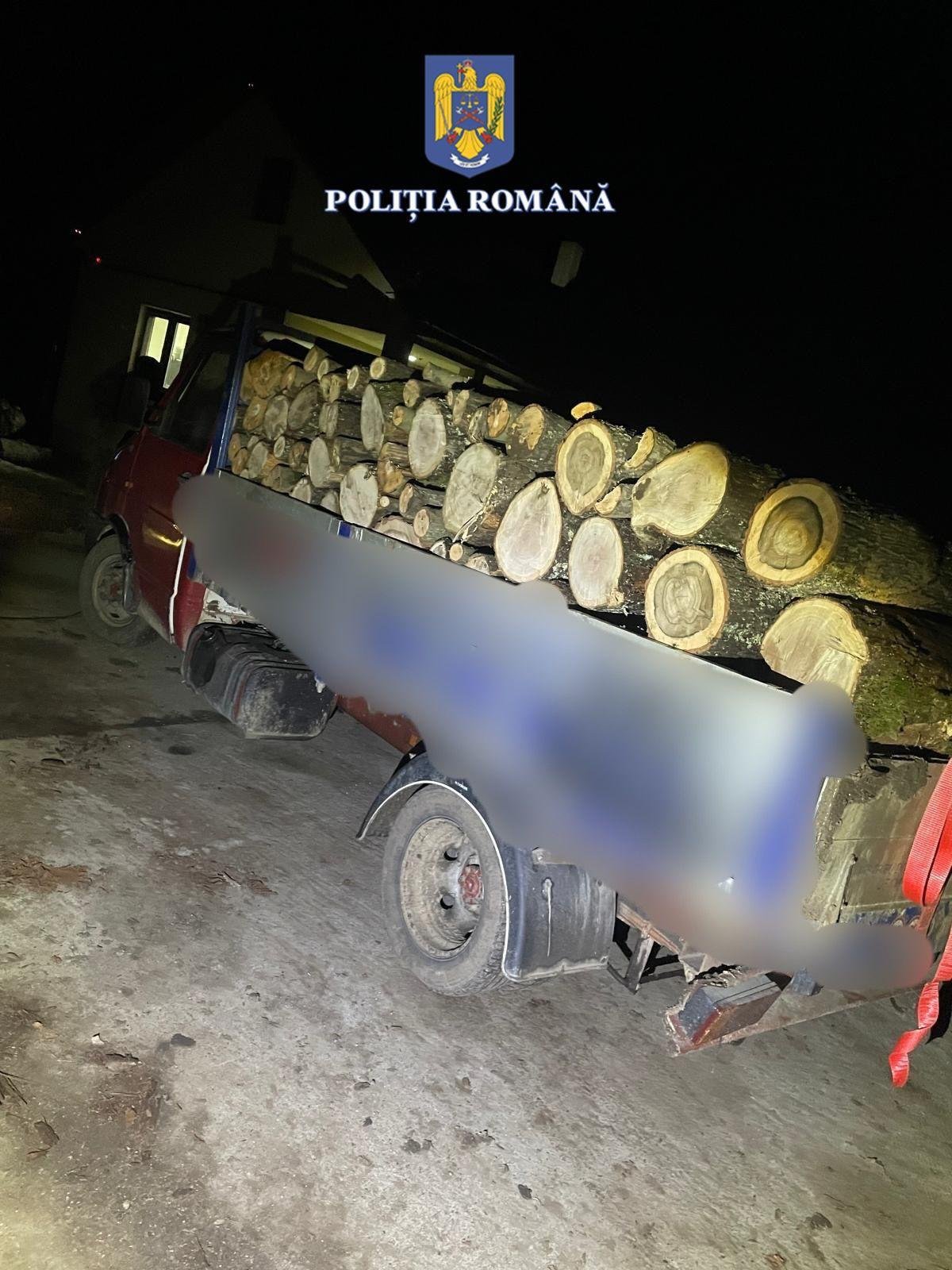 Prins în trafic, fără permis de conducere, transportând lemne fără proveniență legală
