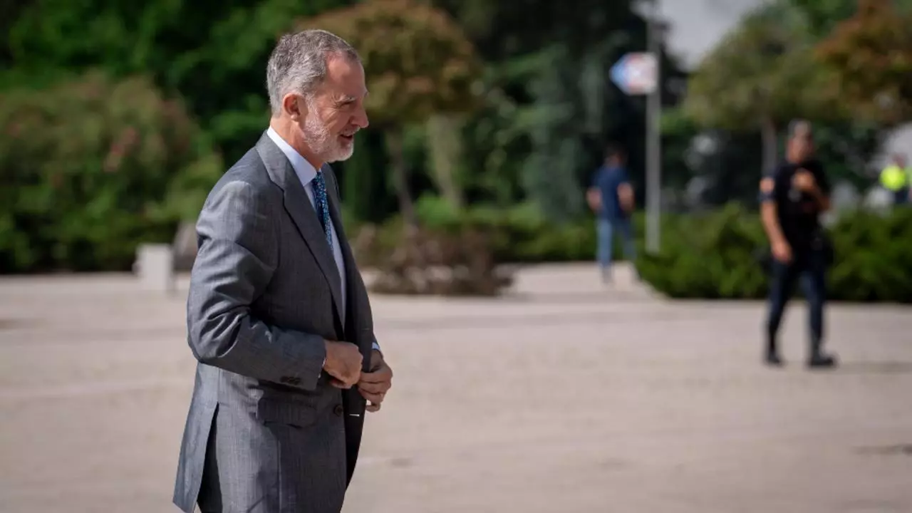 Regele Spaniei a ajuns în România. Va vizita, împreună cu Nicuşor Dan, Centrul de instruire întrunită de la Cincu