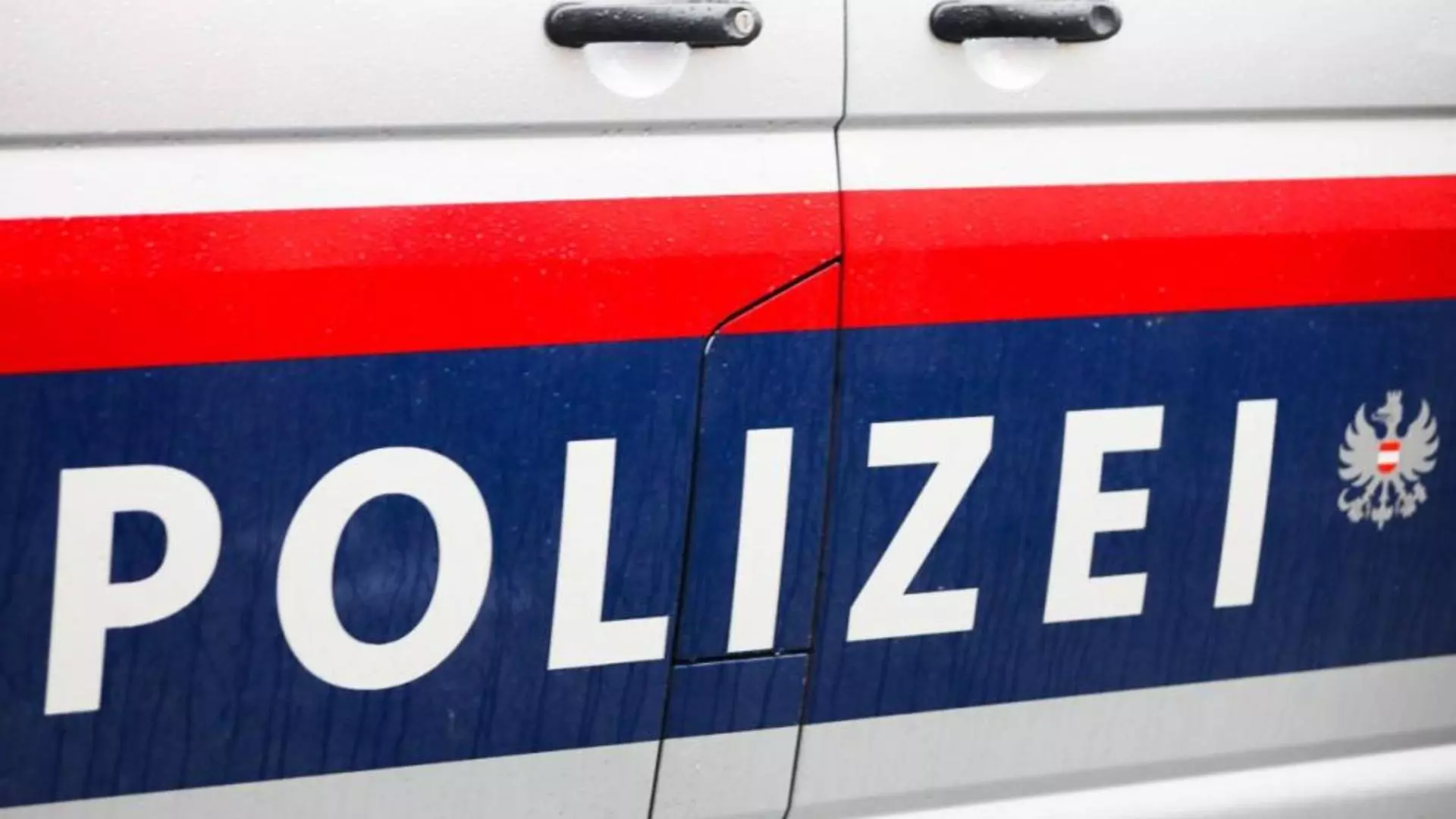 MAE: Doi elevi români, printre victimele masacrului de la școala din Graz, Austria