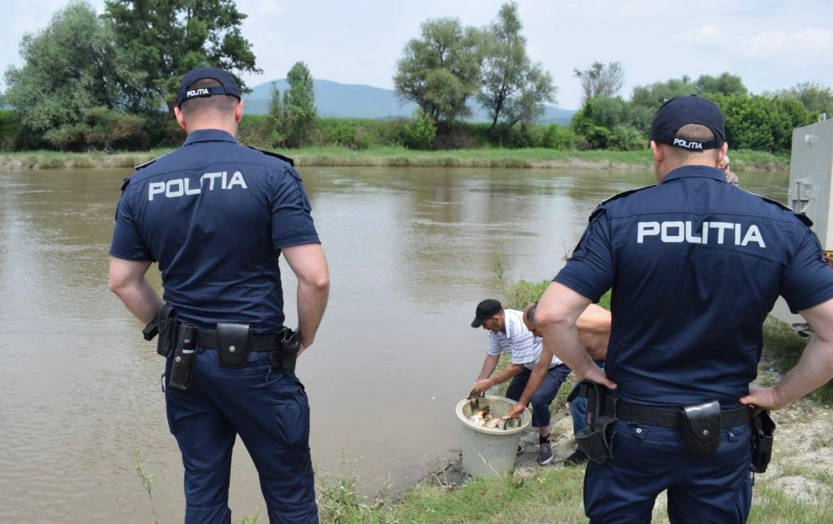 (VIDEO) Repopulare cu pește, în râul Mureș